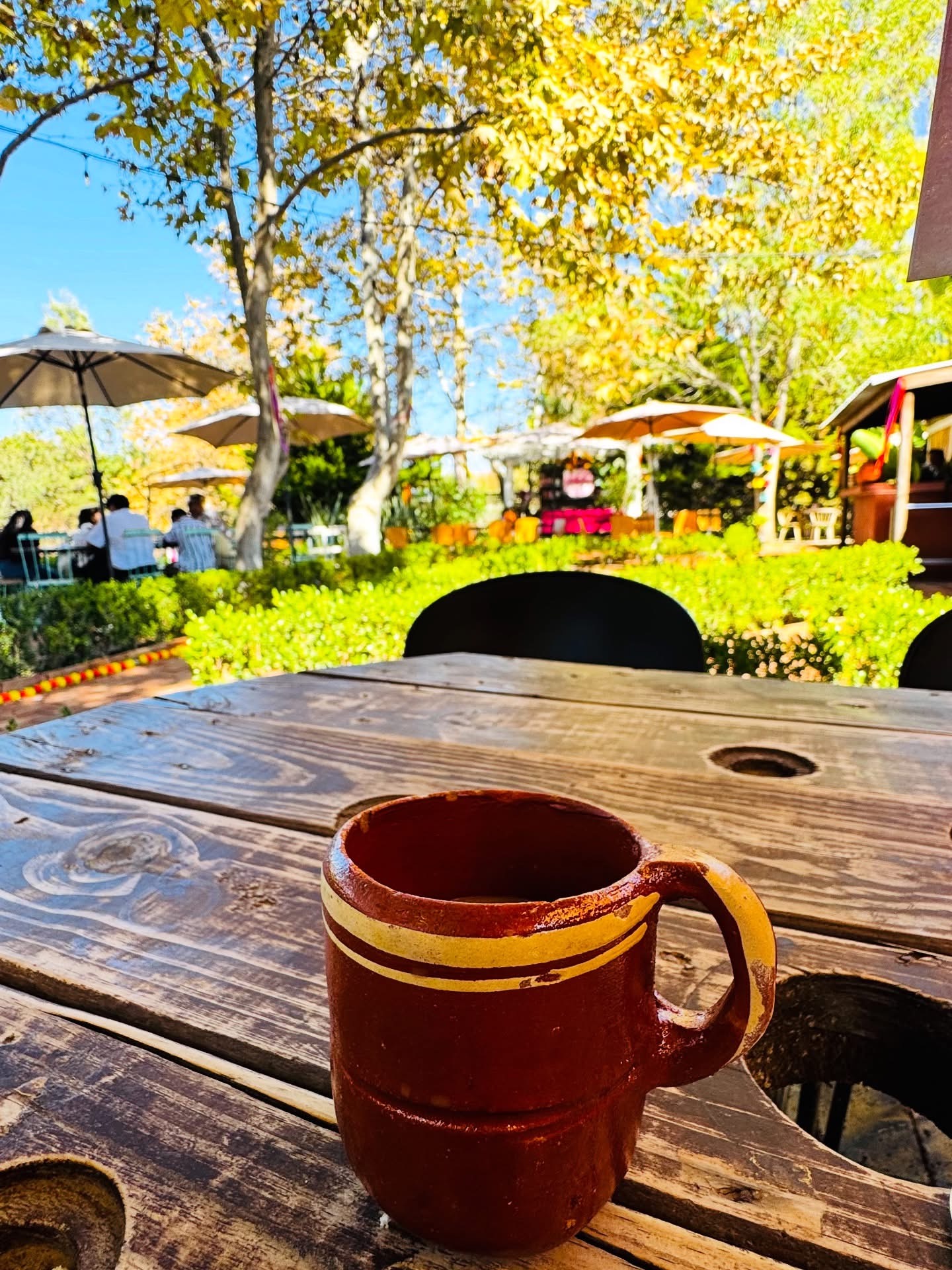 Taza de barro con café frente al jardín